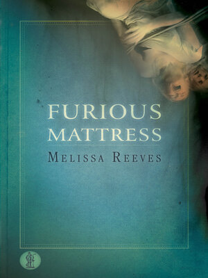 cover image of Furious Mattress